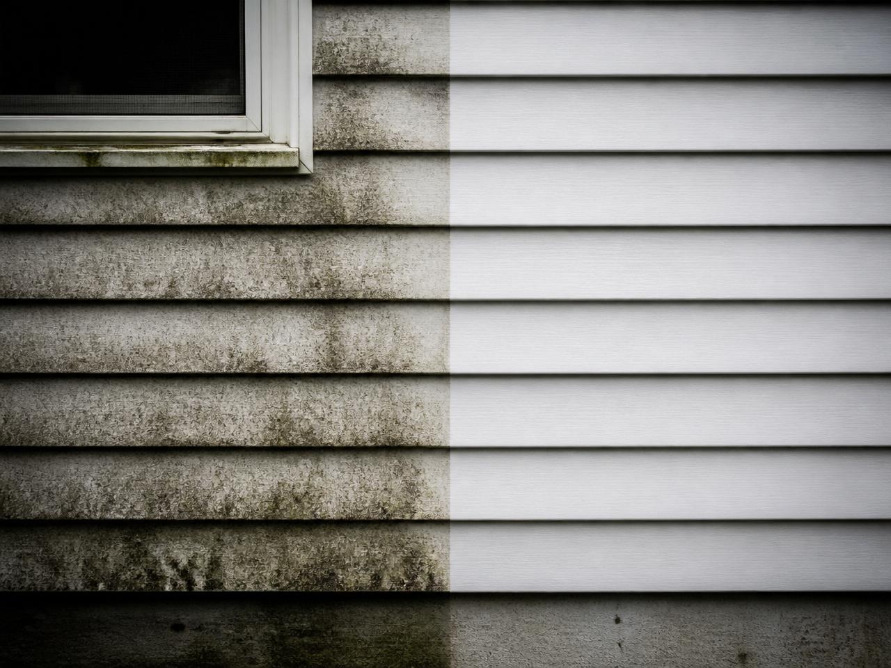 Siding before and after professional pressure washing